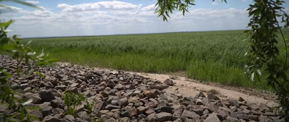 Дно Каховського водосховища – це величезні площі родючих ґрунтів Дно Каховського водосховища – це величезні площі родючих ґрунтів
