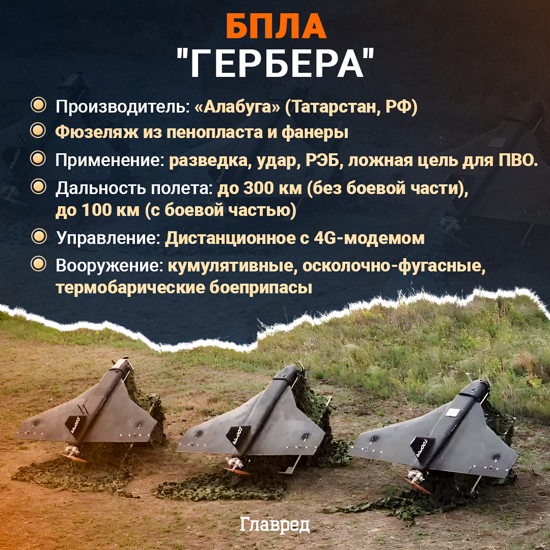 БПЛА Гербера, инфографика БПЛА Гербера, инфографика
