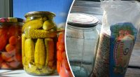 Консервація в банках більше не злетить у повітря: допоможе секретна добавка