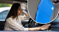 Діє миттєво: автоінструктор назвав найкращий спосіб охолодити машину у спеку
