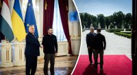 Зеленський та Орбан неочікувано потисли руки: готується спільний документ