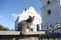 Будут неожиданные последствия: какие приметы нельзя нарушать 3 июля