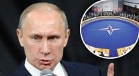 Ранее не был против расширения НАТО: Путина ткнули носом в "паталогическую ложь"