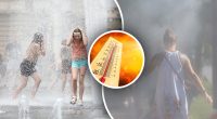 Самый жаркий день лета: синоптик предупредила о погоде 17 июля