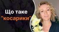 Що таке косарики: усі їх бачили, але мало хто знає правильну назву