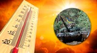 Аномальна спека через бойові дії: еколог здивував, якими будуть наслідки війни