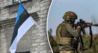Выстоим "несколько недель": в Эстонии выдали заявление о войне с РФ