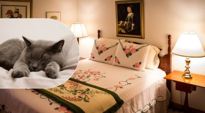 Табу для спальні: де ніколи не можна ставити ліжко