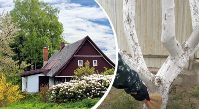 Ефективніше, ніж побілка: що потрібно обов'язково зробити восени в саду