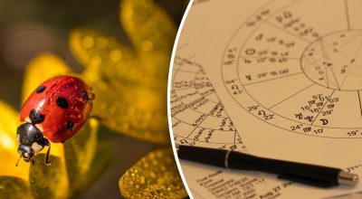 Гороскоп на серпень 2024 року Гороскоп на серпень 2024 року