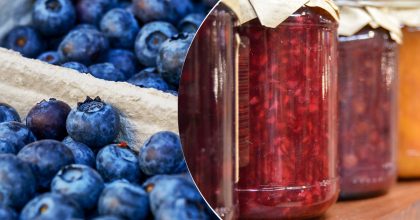 Вкусно и полезно: рецепт черничного варенья - частичка лета среди зимы