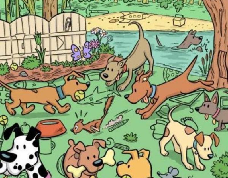 Ребус для тех, у кого отличное зрение: нужно за 12 секунд найти магнит