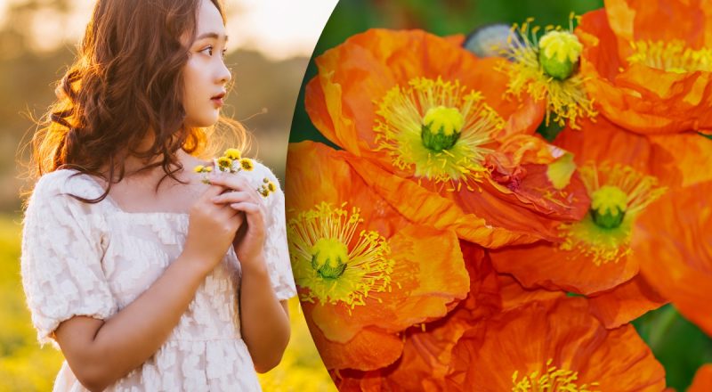 Китайский гороскоп на сегодня 3 июля: Змеям - коварные сплетни, Собакам - решение проблем