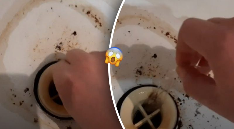 Як позбутися волосся у сливі: 2 найкращі способи