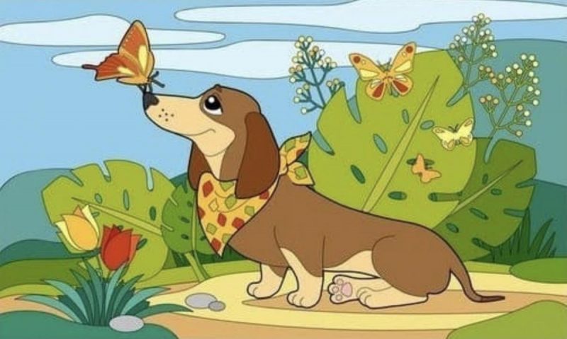 Сподобається і дорослим, і дітям: мила головоломка, яку треба розгадати за 13 секунд