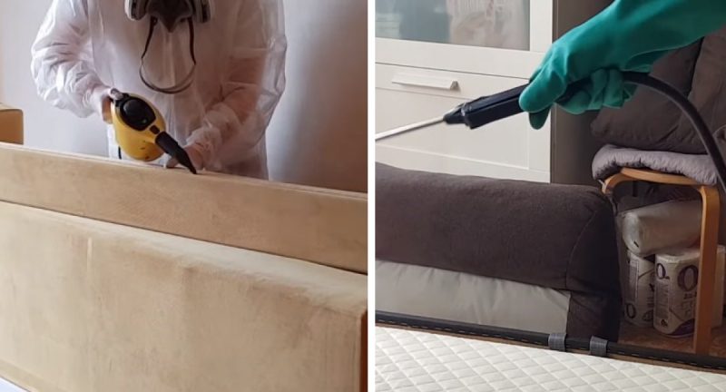 Как избавиться от клопов в диване: очень эффективный способ