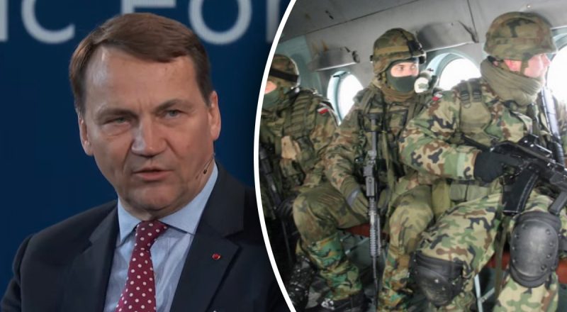 Тысячи добровольцев уже есть: в Польше готовят к отправке в Украину первую бригаду