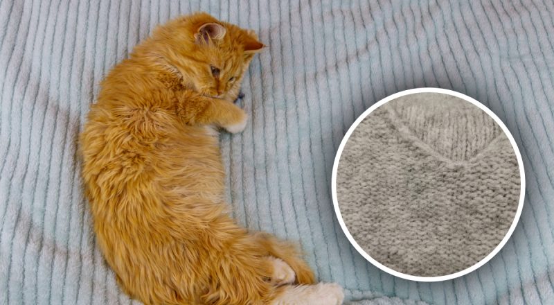 Що робити, якщо полиняли речі: як упоратися з популярною проблемою?