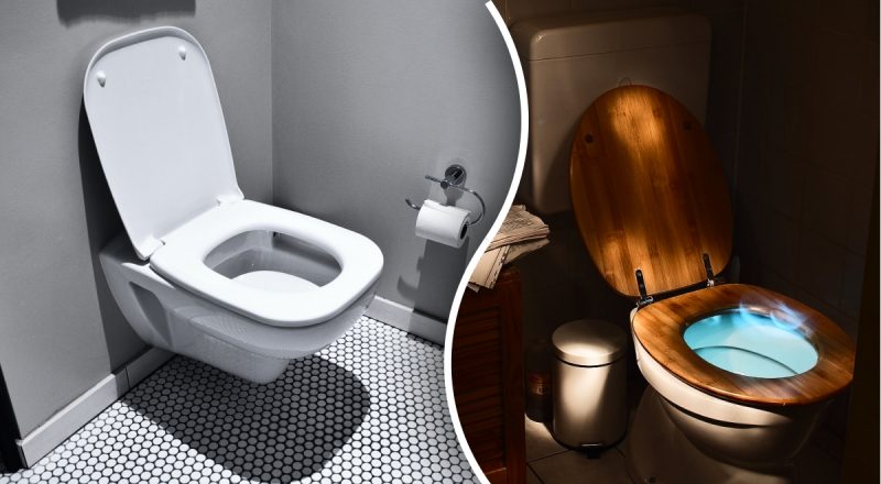 Термін досить малий: як часто слід міняти сидіння унітазу