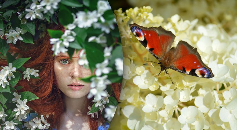 Китайський гороскоп на сьогодні 19 липня: Тигри - ігноруйте плітки, Коням - роздратування