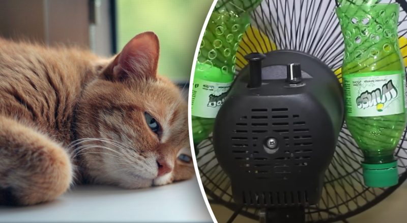 Почти кондиционер: как сделать вентилятор более эффективным