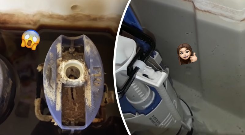 Наліт і пліснява вже не повернеться: як відмити бачок унітазу всередині