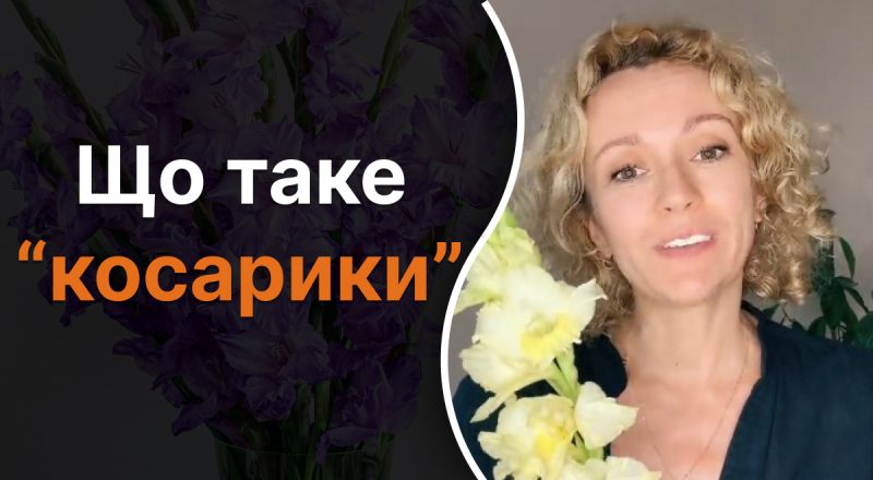 Що таке "косарики": усі їх бачили, але мало хто знає правильну назву