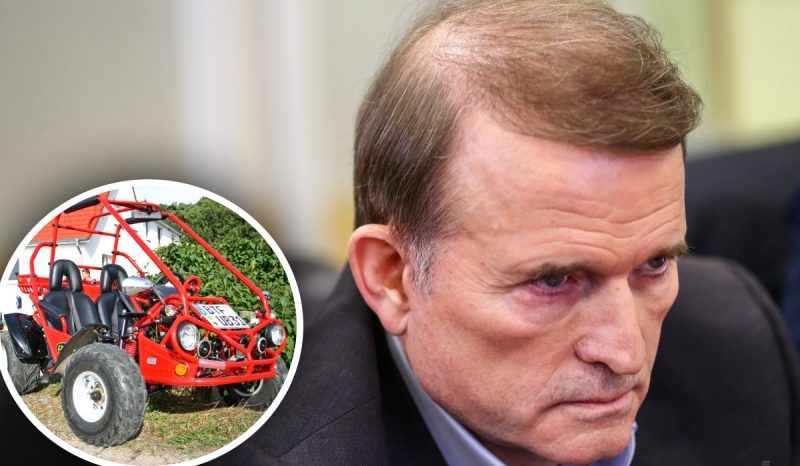 В Украине продали имущества Медведчука почти на миллион: куда пойдут деньги