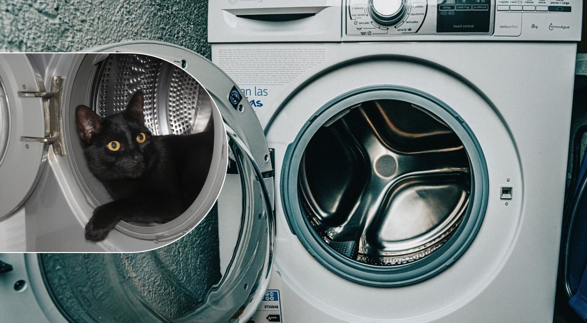Удивительно простой и гениальный способ: как почистить барабан стиральной машины