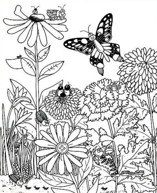 Загадка Загадка