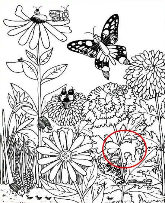 Загадка Загадка