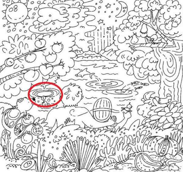 Загадка Загадка