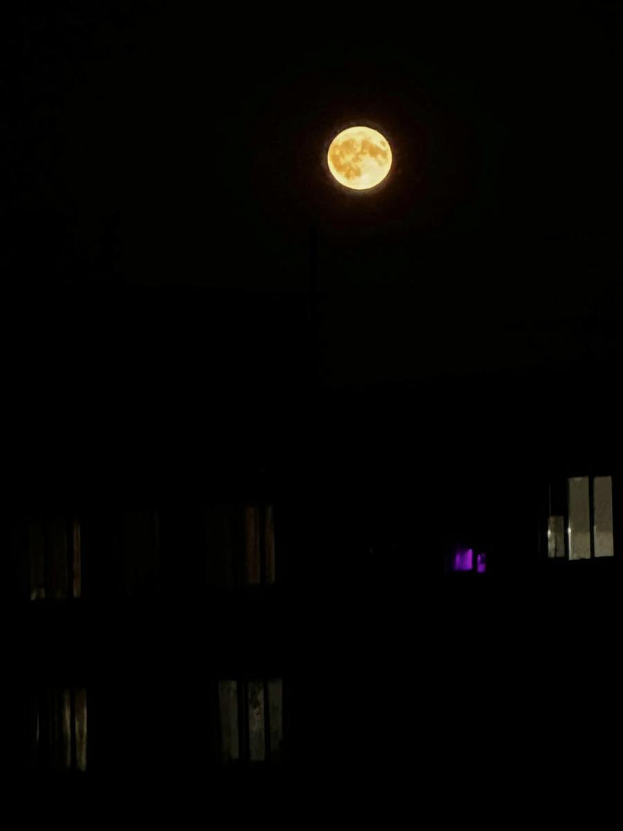 Над Україною зійшов Блакитний Супермісяць Над Україною зійшов Блакитний Супермісяць