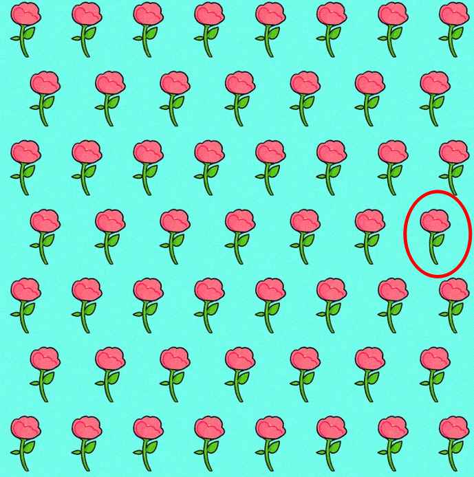 Загадка Загадка