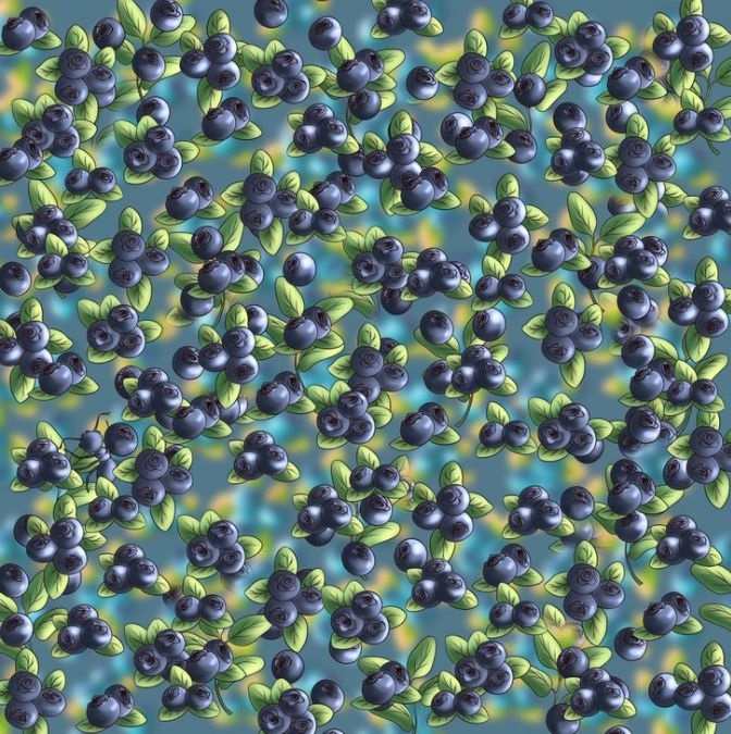 загадка загадка