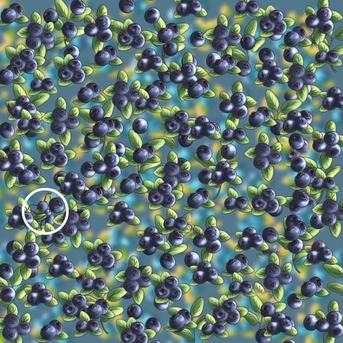 Разгадка Разгадка