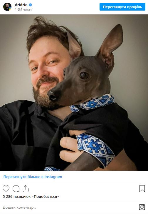 Дзидзьо, собака