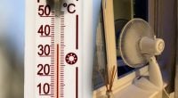 Справжнє диво у спеку: куди поставити вентилятор, щоб охолодити всю кімнату