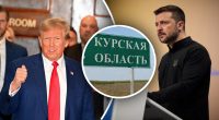 Курська область - розмінна монета: як Україна готується до торгів з Трампом