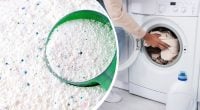 Щоб не угробити пралку: чи можна порошок для ручного прання засипати в автомат