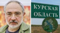 Росія Курську область не відвоює, на Путіна чекає цугцванг із мобілізацією - Гельман