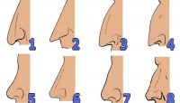 Хто обманщик, а хто розбагатіє: форма носа розповість, яка ви людина
