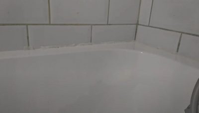 плесень