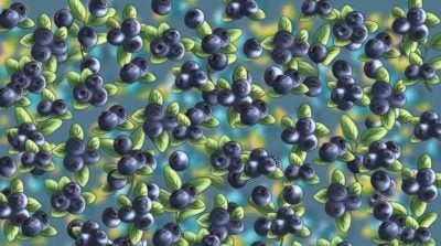 глави глави