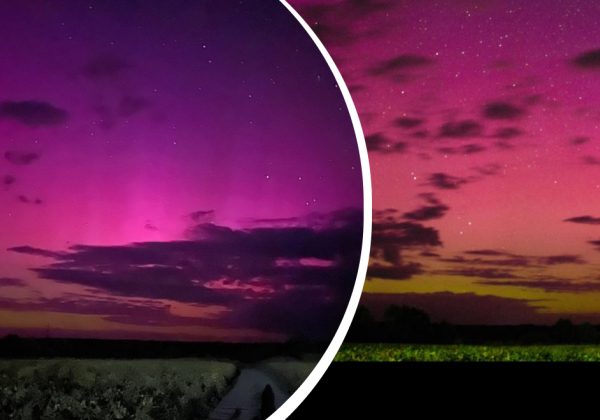 Танок світла поєднався з потоком Персеїди: над Україною з'явилося рідкісне явище