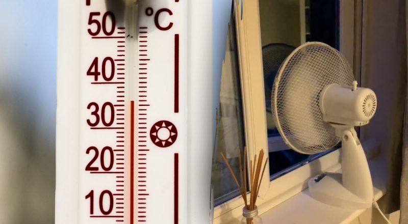 Настоящее чудо в жару: куда поставить вентилятор, чтобы охладить всю комнату