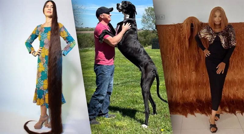 Среди рекордсменов - украинка: невероятные рекорды 2024 года, которые стоит увидеть