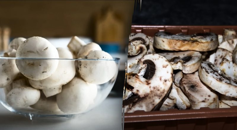 Их есть больше нельзя: как понять, что шампиньоны испортились - неочевидный признак