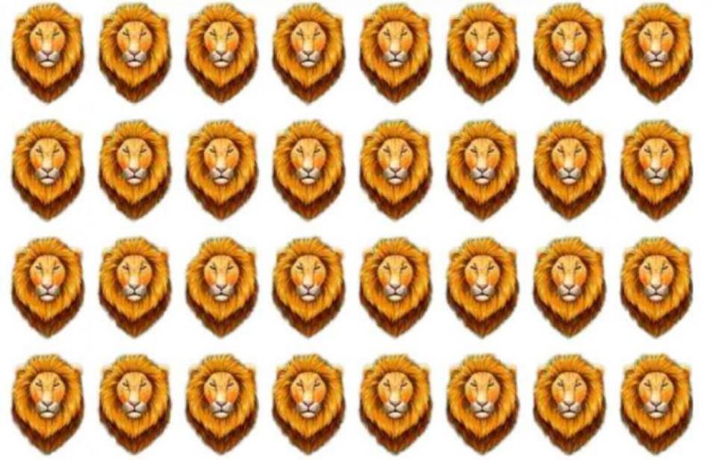 Головоломка для тех, у кого зрение орла: надо найти за 6 секунд льва