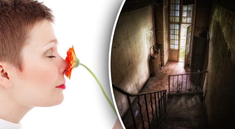 Звідки береться "старечий запах" і як його позбутися